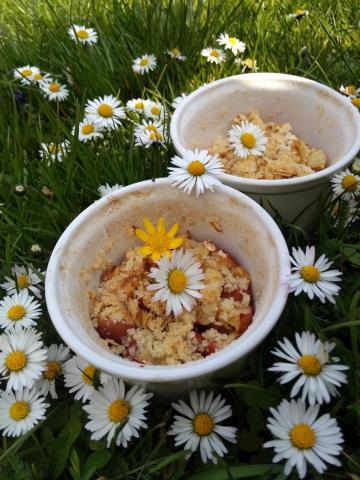 Crumble s jablky pochoutka prostřená v trávě mezi sedmikráskami