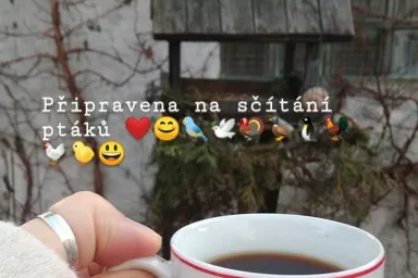 Sčítání ptáků 2025