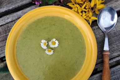 Kopřivová polévka, zlatice, hluchavka, sedmikráska Kopřivová polévka, zlatice, hluchavka, sedmikráska