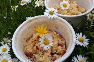 Crumble s jablky pochoutka prostřená v trávě mezi sedmikráskami Crumble s jablky pochoutka prostřená v trávě mezi sedmikráskami