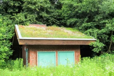 Zelená střecha Zelená střecha