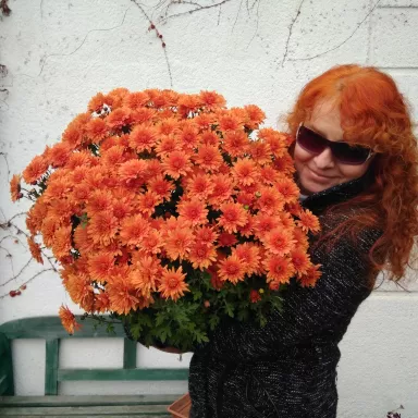 RNDr. Šárka Svobodová